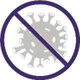 bacteria